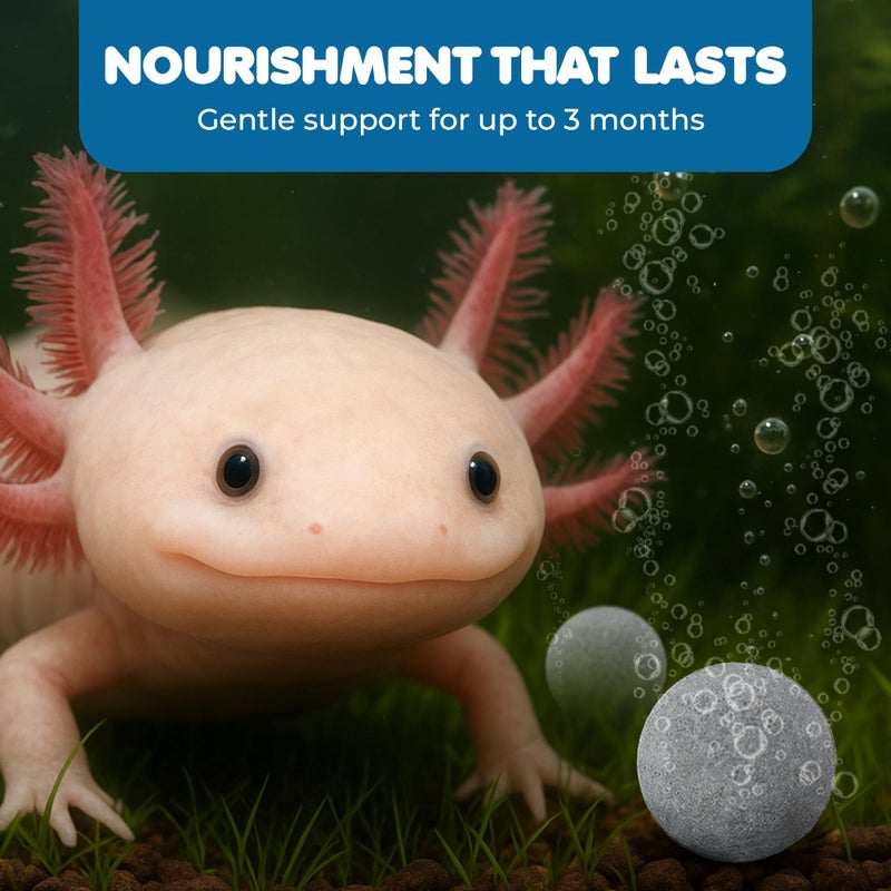 SunGrow Tropical Fish Water Conditioner Balls, Gray Stones for Freshwater Tank and Community Aquarium, Calcium-Enriched for Active Fish, 10 Balls per Pack - Image 5